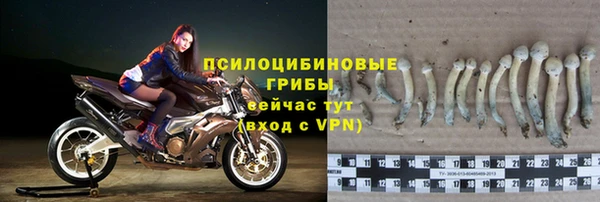 эйфоретик Аркадак