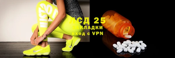 эйфоретик Аркадак
