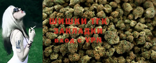 эйфоретик Аркадак